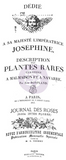 IOD - Decor Transfer - JOSEPHINE - The Chippy Barn (9048718601)