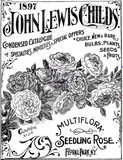 IOD - Decor Transfer - RUB SEED - The Chippy Barn (9049211145)