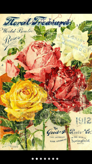 IOD - Decor Transfer - Floral Treasure - The Chippy Barn (118378627081)