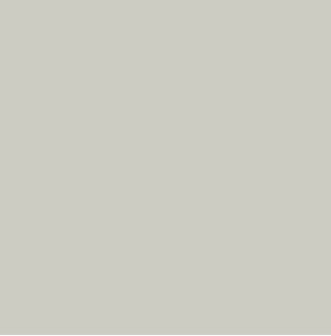 NEXT LEVEL - Silver Sage